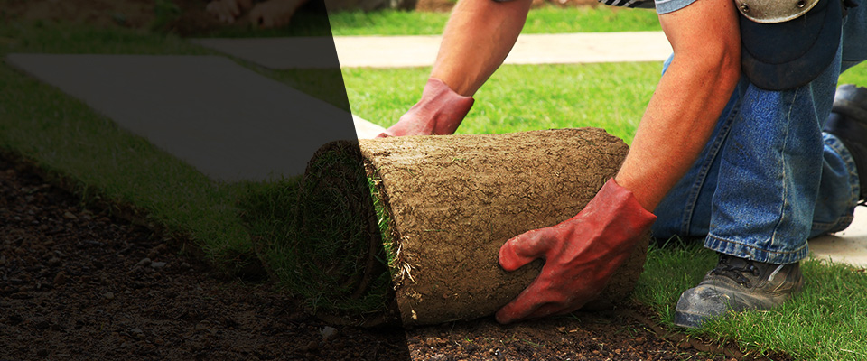 Big Stone Gap Landscapers